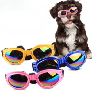 Small dog wearing pink goggles beside yellow, blue, and pink pet goggles showing strap hardware